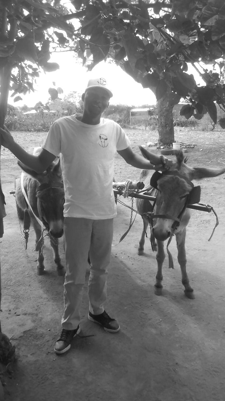 00000259-PHOTO-2021-10-20-09-52-14