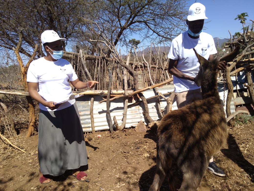 00000279-PHOTO-2021-10-20-14-36-55