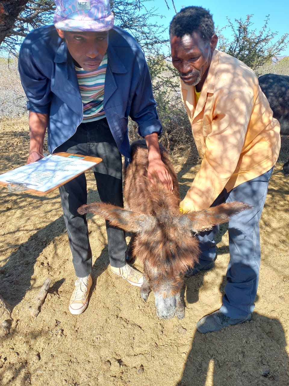 00001448-PHOTO-2022-07-05-19-55-35