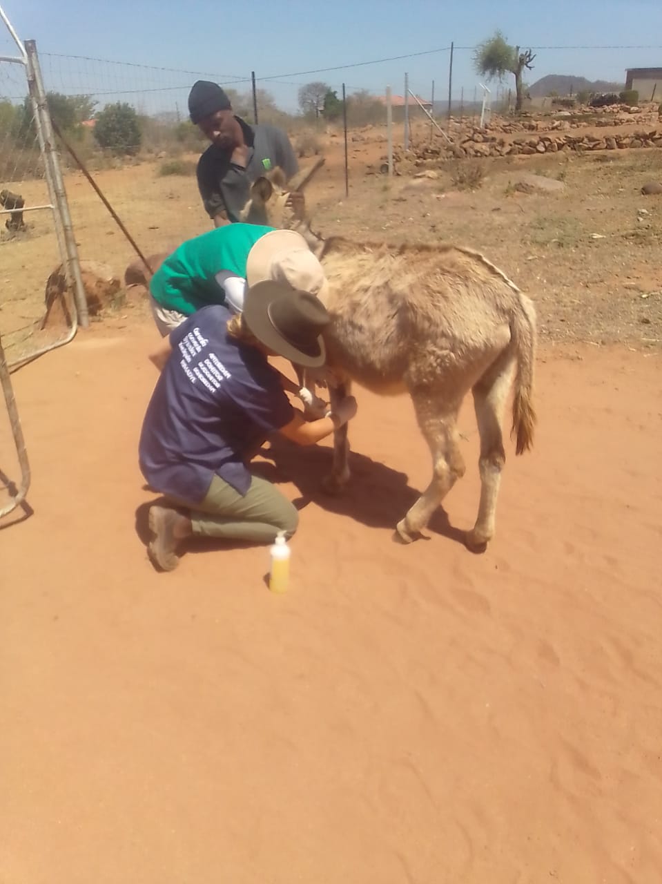 PHOTO-2022-09-29-17-34-56