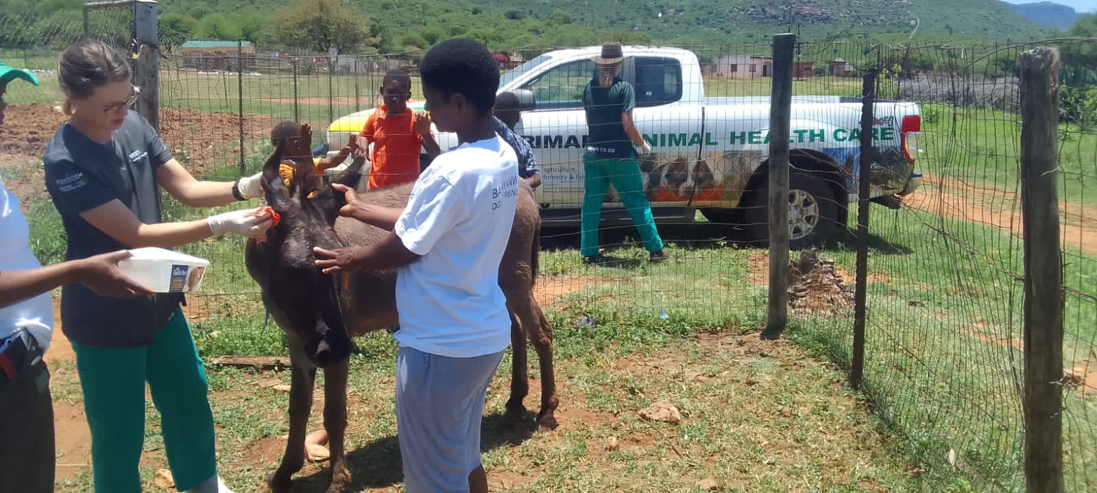 PHOTO-2022-12-06-17-22-31