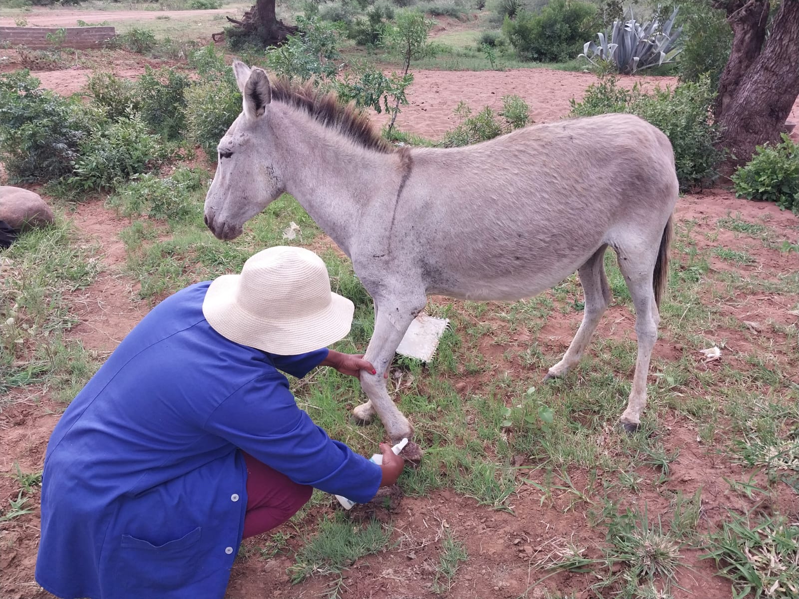 PHOTO-2023-01-05-10-17-16