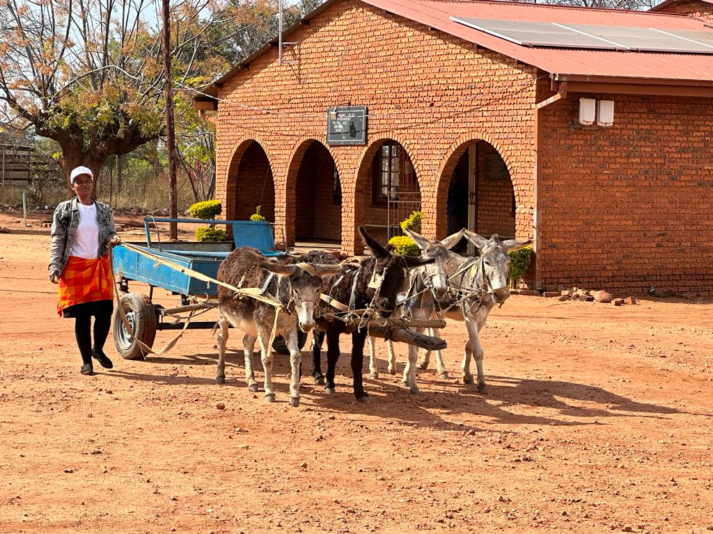 WhatsApp Image 2023-07-03 at 11.46.27